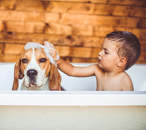 bath time with boy and dog